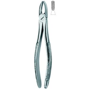 Tooth Extracting Forceps(eng)