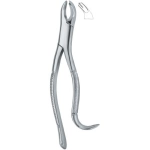 Tooth Extracting Forceps(amr)