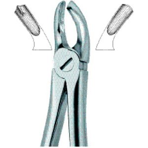 Tooth Extracting Forceps(eng)