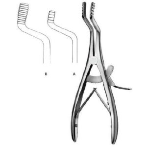 Oral Instruments