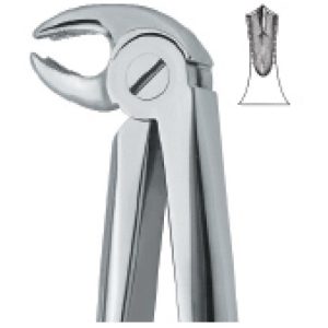 Tooth Extracting Forceps(eng)